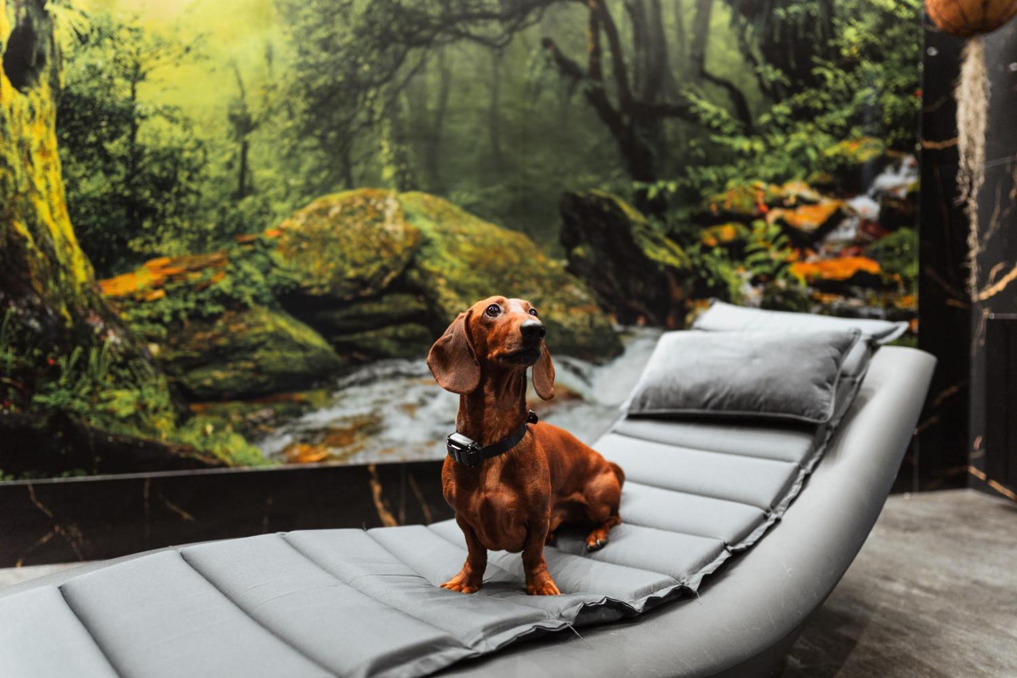 Boutique Hotel Budzak ชเดียร์ ภายนอก รูปภาพ